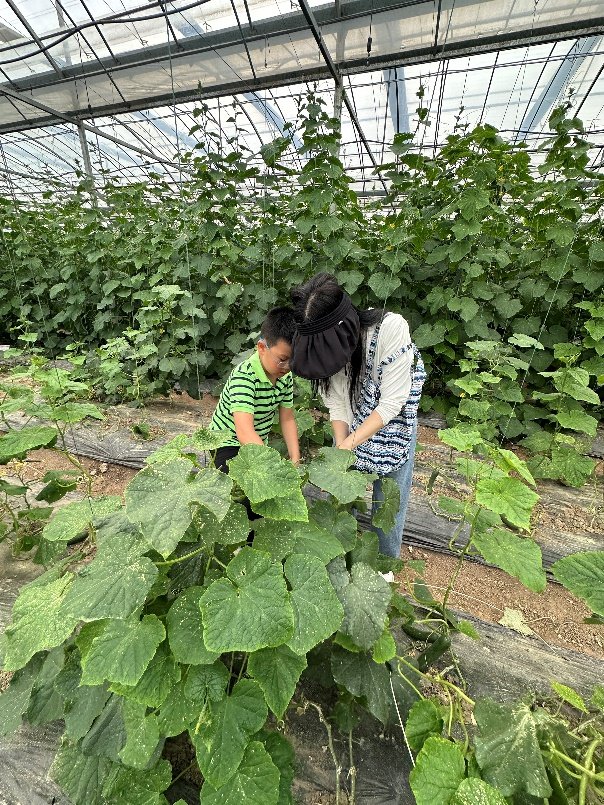 度过一个有意义的节日